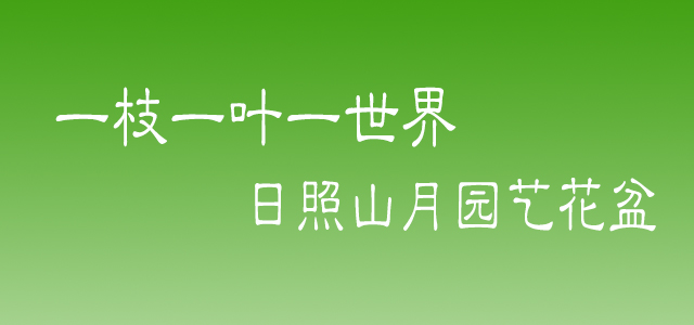 test5
