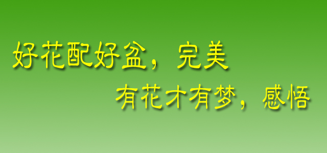 test1
